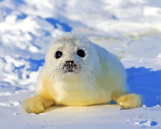 White Harp Seal Animal - Diamond Painting 